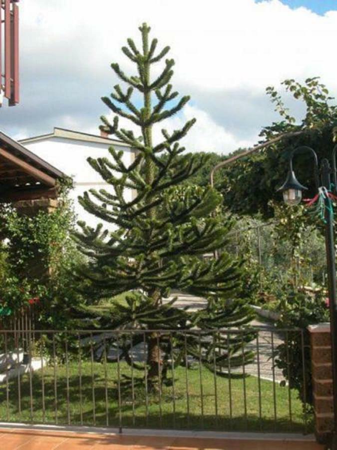 Bed and Breakfast La Casa Sull'Aia,Av Santo Stefano del Sole Zewnętrze zdjęcie